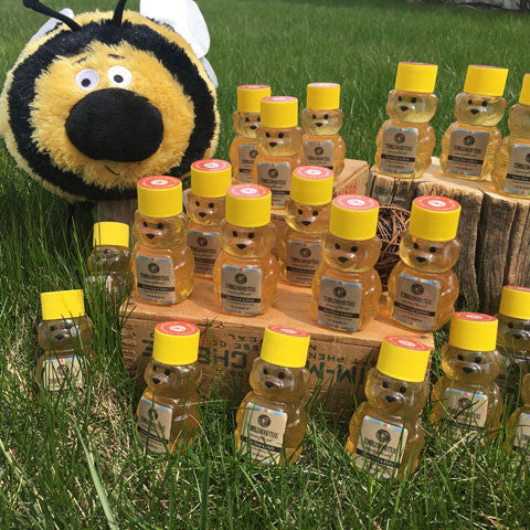 Sweet Clover and Alfalfa Honey